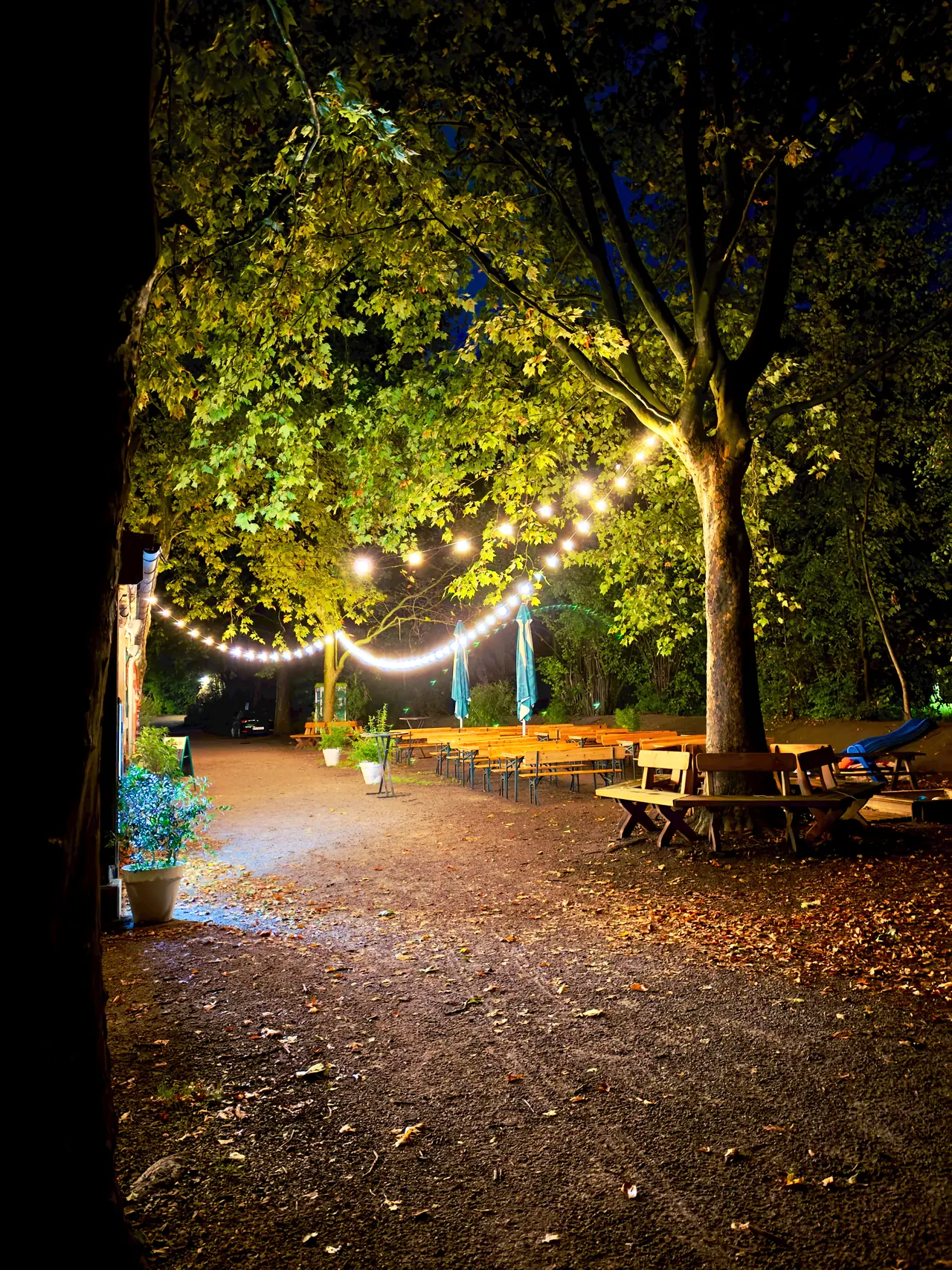 Der Gastgarten bei Nacht mit leuchtenden Lichterketten zwischen den Bäumen
